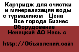 Картридж для очистки и минерализации воды с турмалином › Цена ­ 1 000 - Все города Бизнес » Оборудование   . Ненецкий АО,Несь с.